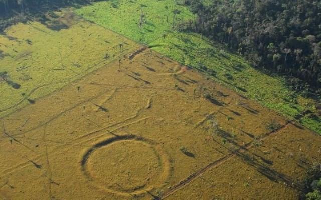 Círculos descobertos no Acre (Crédito: Reprodução)