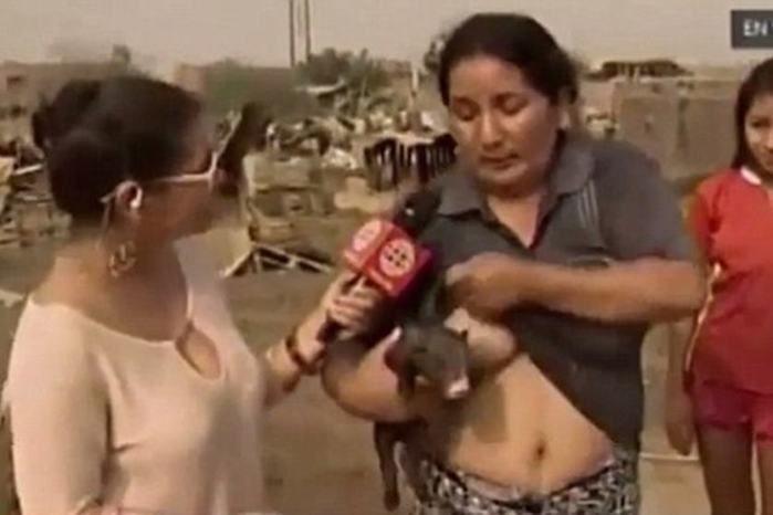 Mulher choca ao amamentar porco durante transmissão ao vivo
