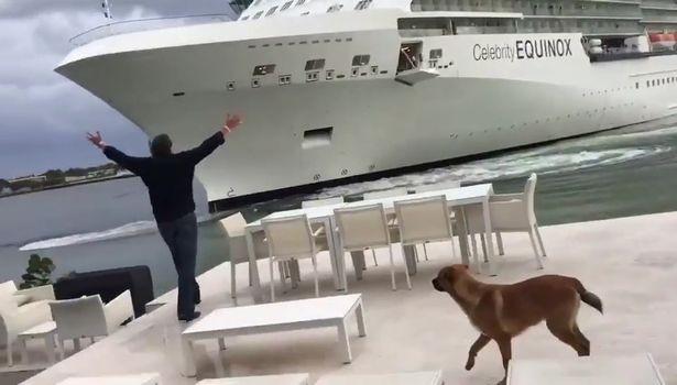Homem se desespera ao ver navio de cruzeiro no seu quintal