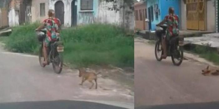 Motociclista é detida após arrastar filhote de cadela na rua no PA