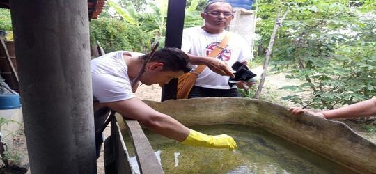 Palmeirais tem dia de combate ao mosquito da dengue
