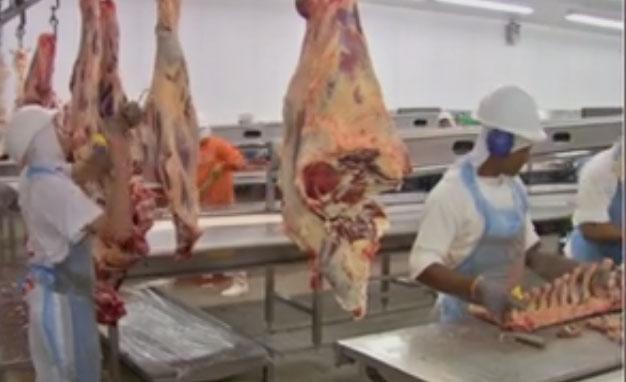JBS suspende produção de carne bovina em 33