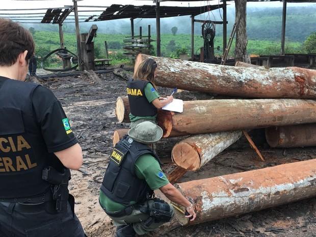 Polícia Federal deflagra Operação Maravalha no Maranhão (Crédito: Divulgação)