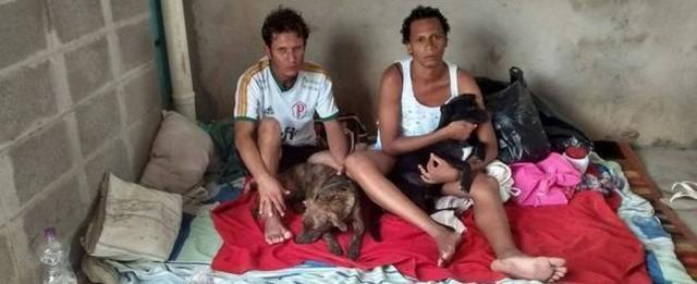Casal viaja mais de 80 km a pé para não abandonar cachorros