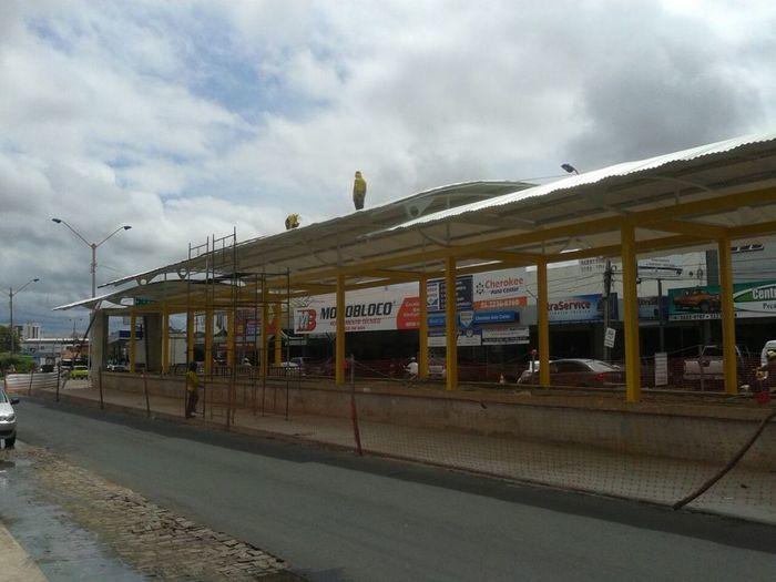 Strans instala coberturas nas estações de passageiros