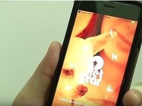 Aplicativo vai armazenar dados sobre a vida do animal de estimação