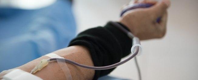 Surto de febre amarela faz governo alterar regras para doar sangue