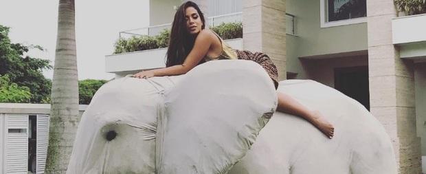 Anitta dança até o sol raiar em sua festa de aniversário; fotos