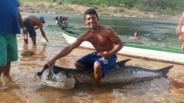 Pescadores fisgam um peixe gigante do mar no rio São Francisco