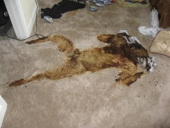 Homem morre esmagado por pilhas de toneladas de revista pornôs