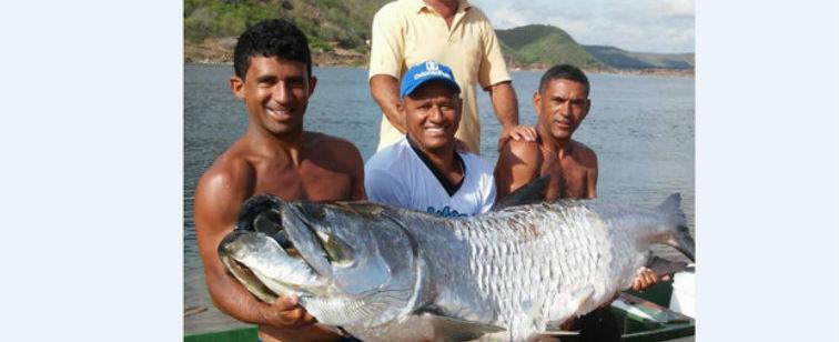 Pescadores fisgam um peixe gigante do mar no rio São Francisco