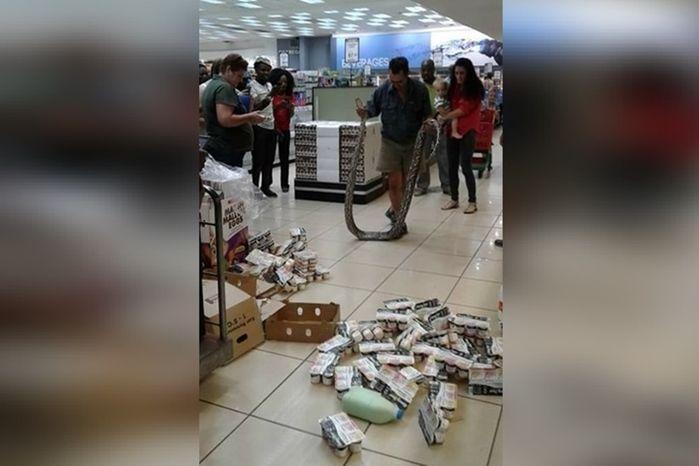 Cliente encontra cobra de 3,5m em prateleira de mercado
