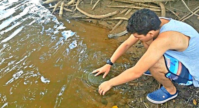 Cágado, um tipo de tartaruga de água doce, é libertado nas águas do rio Jenipapo após ser fisgado por pescador. (Crédito: Alcide Filho)