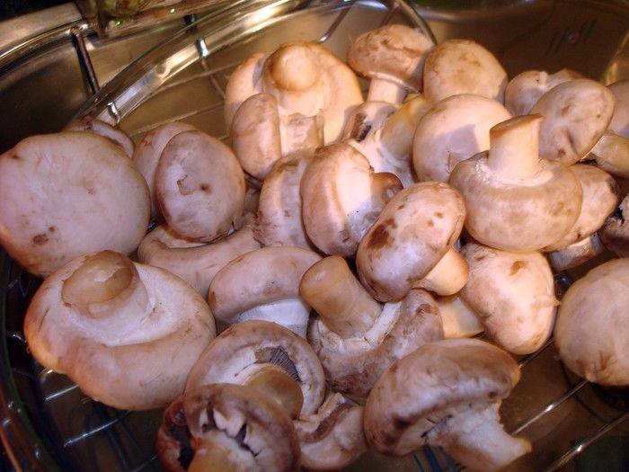 Champignons (Crédito: Divulgação)