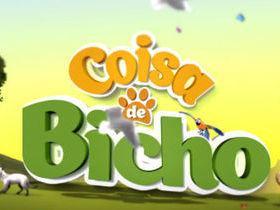 Veja o que foi destaque no Programa Coisa de Bicho