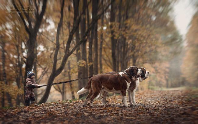Ensaio mostra amizade de crianças com seus cachorros gigantes