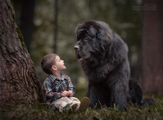 Ensaio mostra amizade de crianças com seus cachorros gigantes