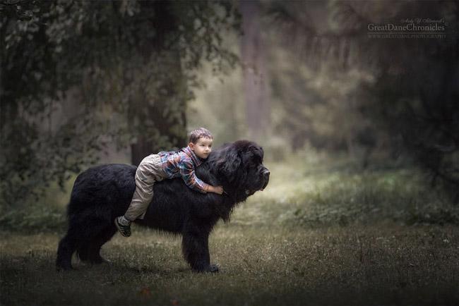 Ensaio mostra amizade de crianças com seus cachorros gigantes