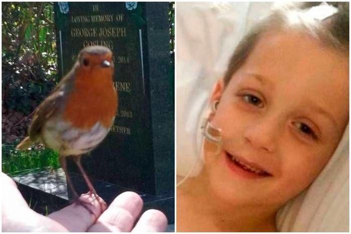Mãe posta vídeo com “sinal” que recebeu do filho morto