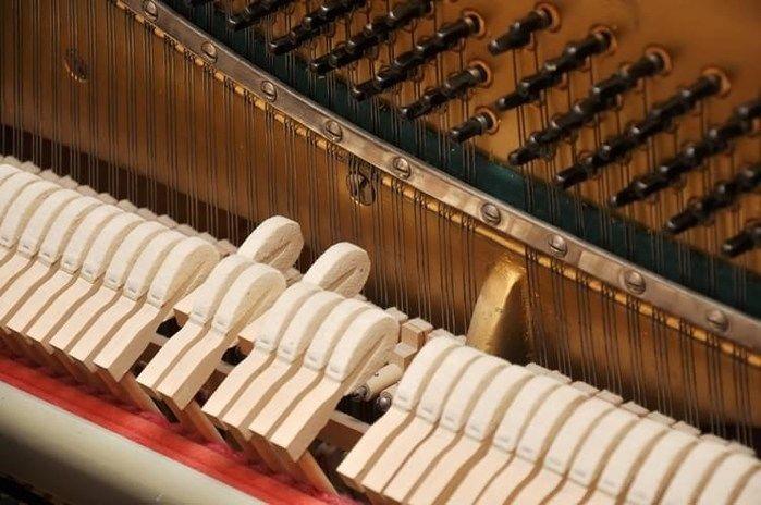Piano (Crédito: Reprodução)