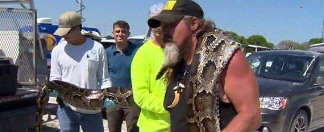 Homem ganha mais de R$ 1 mil ao capturar cobra gigante com as mãos