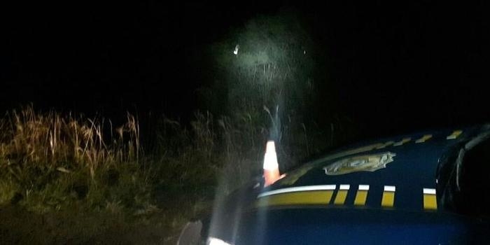 Mulher morre após carro atropelar capivara e capotar na BR-290
