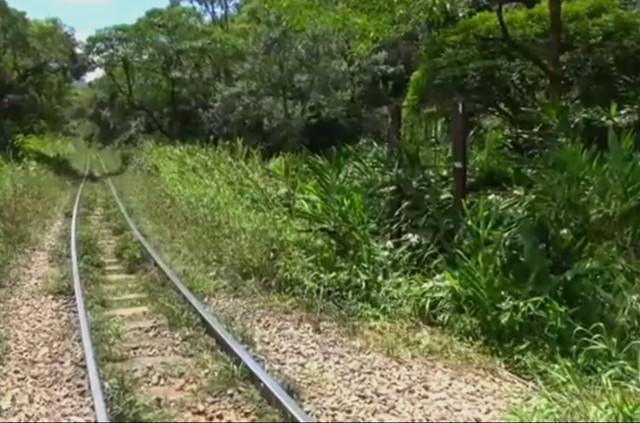 Mulher é atropelada por trem ao tentar fazer selfie em Piraquara