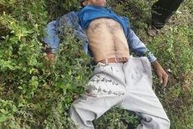 Idoso de 65 anos sofre grave acidente na BR-343 em Campo Maior