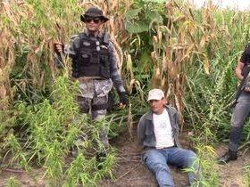 Policia Civil e Militar realizam operação Fumo Zero