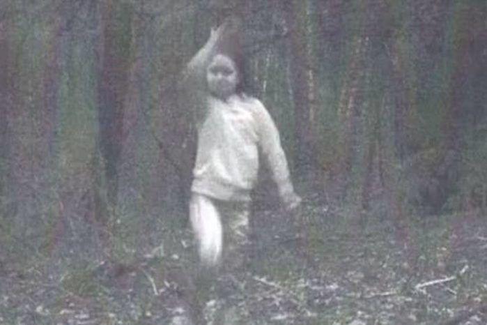 Espírito aparece em foto no meio do bosque e assusta moradores