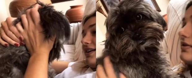Sasha e Bruna Marquezine "disputam" carinho de cachorrinha em NY