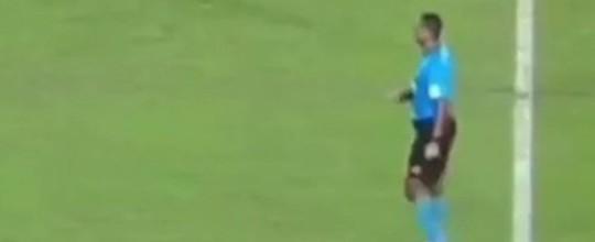 Torcedores observam suposta comemoração de árbitro após gol do Fla