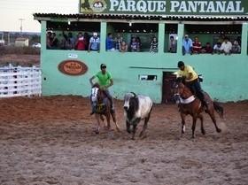 Vaquejada de Pimenteiras começa dia 23 de junho