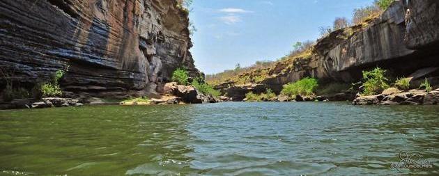 Incrível : planta "milagrosa" encontrada no Canyon do rio Poti