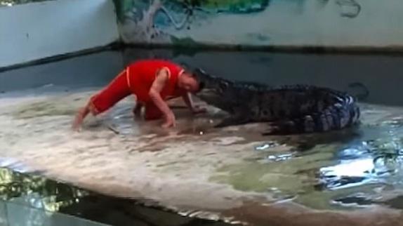 Cuidador de zoológico é mordido na cabeça por crocodilo