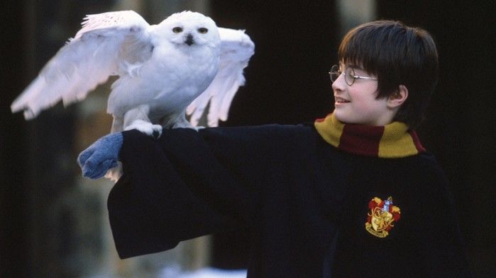 Harry Potter (Crédito: Reprodução )