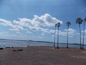Lagoa do Cajueiro vira polêmica novamente em Luzilândia