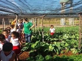 Crianças participam de atividades na semana do meio ambiente