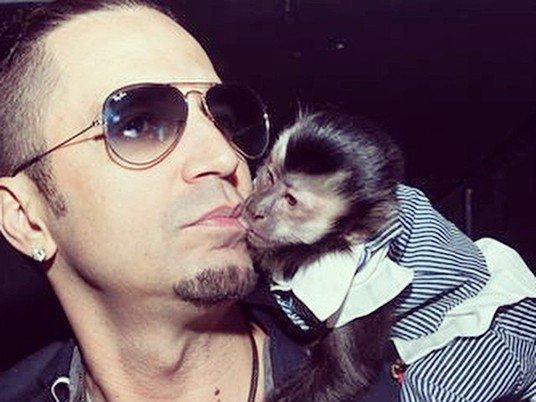 Após sumiço, Latino diz que vai implantar chip no macaco Twelves