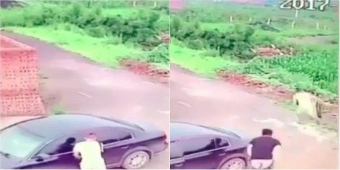 Ladrão tenta roubar carro com casal fazendo sexo dentro
