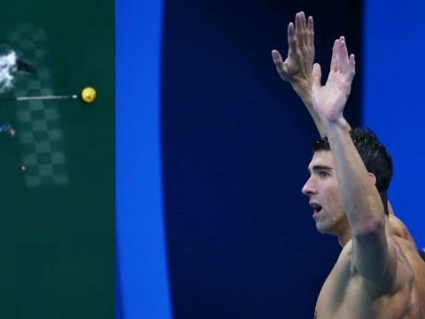 Tubarão "vence" Michael Phelps em programa de TV