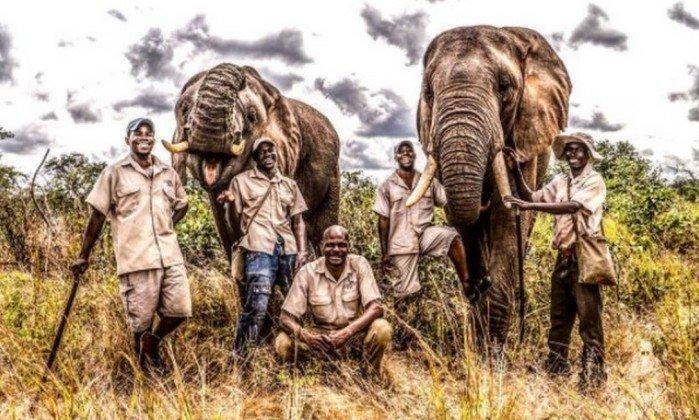 O elefante Mbanjie (direita) foi sacrificado depois da morte do domador (Crédito: Reprodução)
