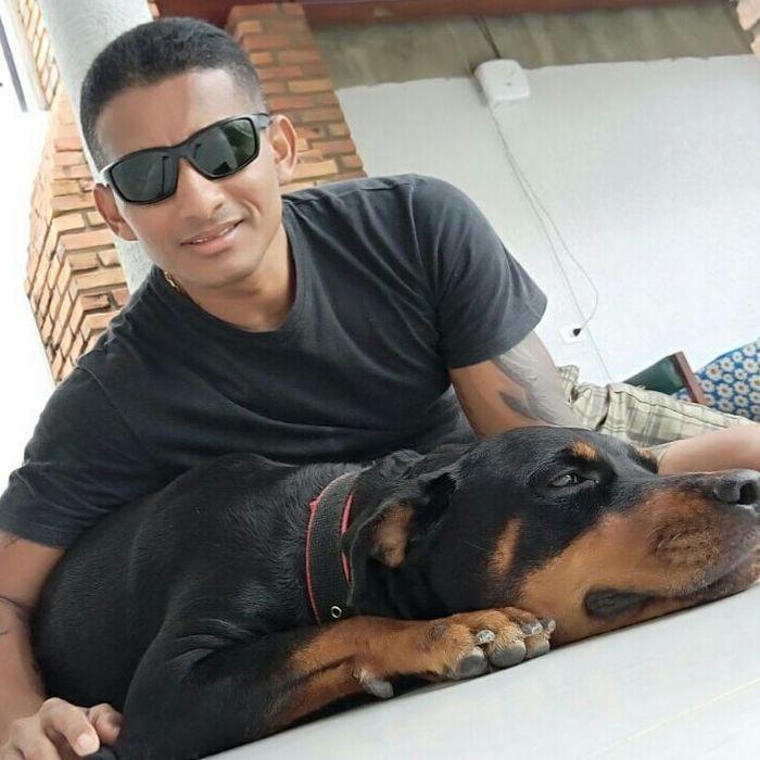 Motorista do veículo também veio a óbito no local (Crédito: Reprodução)