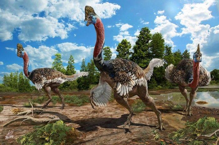 Fazendeiro chinês encontra fóssio de uma nova espécie de dinossauro