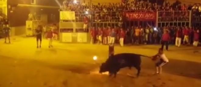 Com fogo no chifre, touro comete "suicídio" na Espanha
