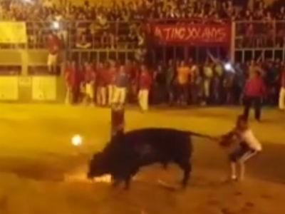 Com fogo no chifre, touro morre após maus tratos na Espanha
