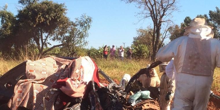 Família morre em acidente entre carro e caminhão cheio de abelhas