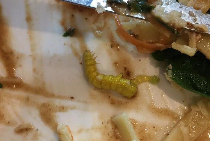 Cliente encontra lagarta em comida de restaurante famoso no Rio