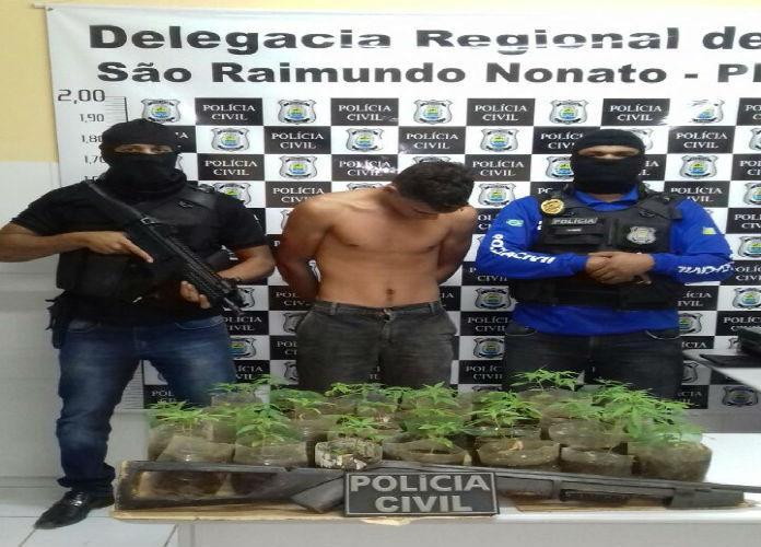 Homem preso com 80 pés de maconha (Crédito: Divulgação)