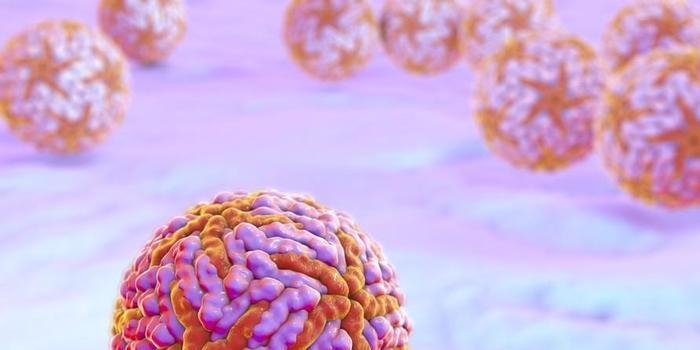 Estudo confirma que o vírus da zika não é transmitido pela saliva